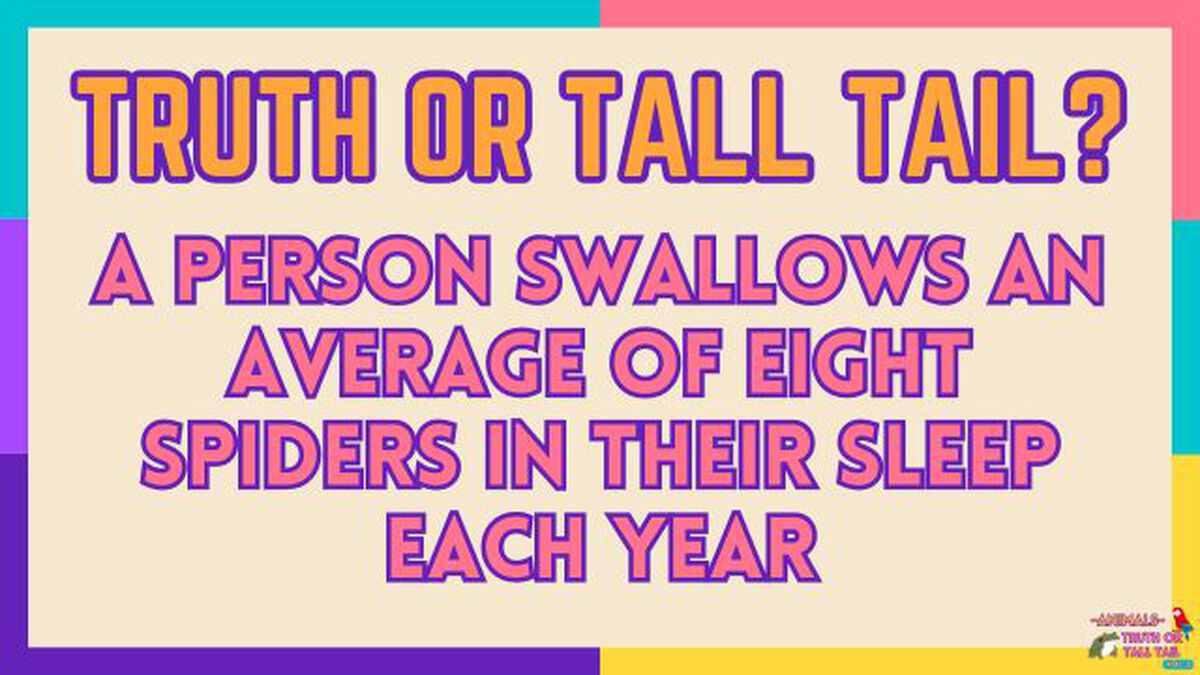 Animals: Truth or Tall Tail - Vol. 3 image number null